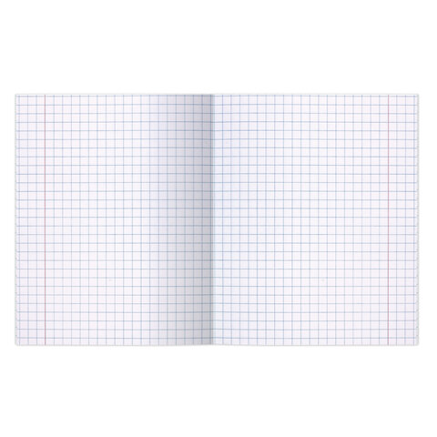 Тетрадь ВЕЛИКИЕ ИМЕНА. Архимед, 12 л. крупная клетка, плотная бумага 80 г/м2, обложка тонированный офсет, BRAUBERG, 105715