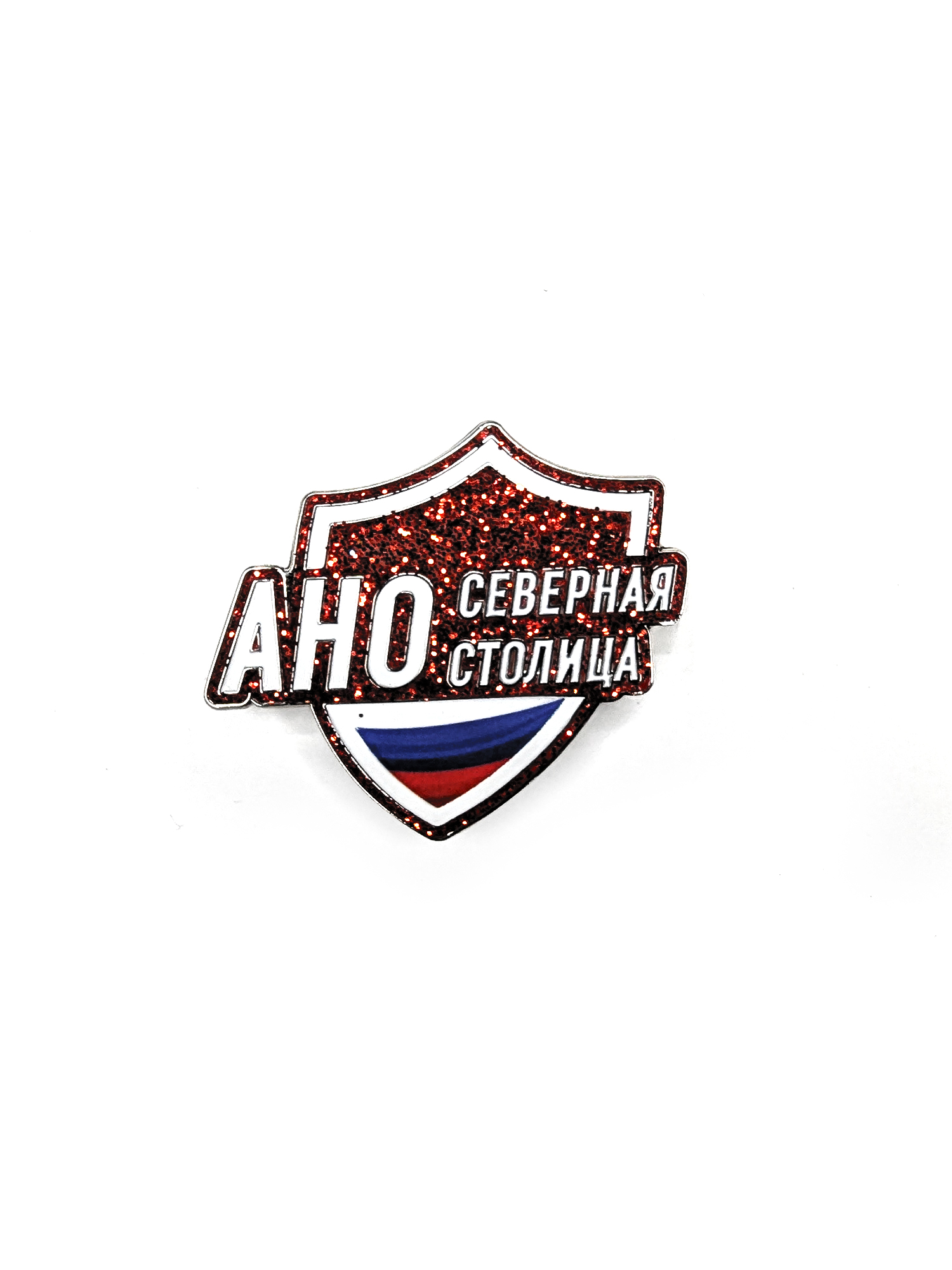 Значок АНО Северная столица