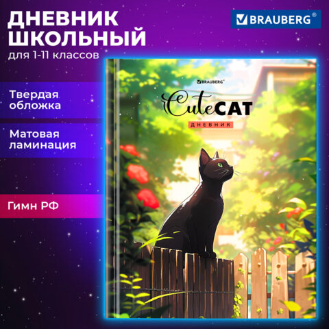 Дневник 1-11 класс 40 л., твердый, BRAUBERG, глянцевая ламинация, 