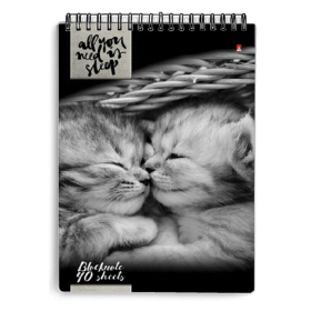 Блокнот А5, 40 л., гребень, ламинированный картон, клетка, Альт, 