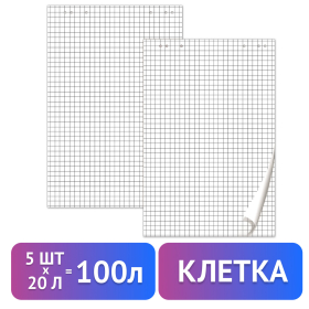 Блокноты для флипчарта ПЛОТНЫЕ 80 г/м2, BRAUBERG, 67,5х98 см, КОМПЛЕКТ 5 шт., 20 л., клетка, 124097