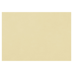 Бумага для пастели (1 лист) FABRIANO Tiziano А2+ (500х650 мм), 160 г/м2, песочный, 52551006