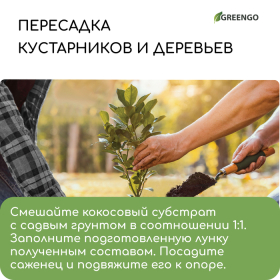 Чипсы кокосовые, для террариумов и растений, в брикете, 5 л, Greengo