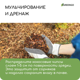 Чипсы кокосовые, для террариумов и растений, в брикете, 5 л, Greengo