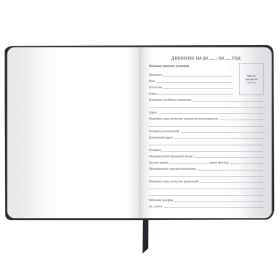 Дневник 1-11 класс 48 л., кожзам SoftTouch (твердая с поролоном), фольга, BRAUBERG, 