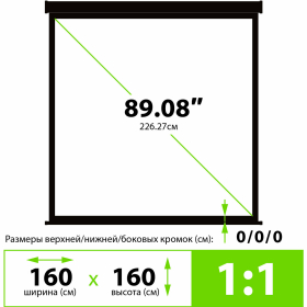 Экран Cactus TriExpert CS-PSTE-160x160-BK, 160x160 см, 1:1, напольный, черный