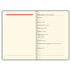 Ежедневник недатированный БОЛЬШОЙ ФОРМАТ 210х297 мм А4, BRAUBERG "Office", 160 л., красный, 113286