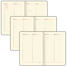 Ежедневник недатированный БОЛЬШОЙ ФОРМАТ 210х297 мм А4, BRAUBERG "Status", 160л, черный, 113360