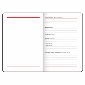 Ежедневник с магнитным клапаном недатированный, под кожу, А5, коричневый, BRAUBERG "Magnetic X", 113280