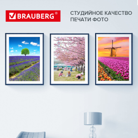 Фотобумага PREMIUM сатин, 10х15 см, 260 г/м2, односторонняя, 500 листов, BRAUBERG, 364002