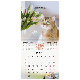 Календарь настенный перекидной на 2025 г., BRAUBERG, 12 листов, 29х29 см, "Не падай духом", 116163