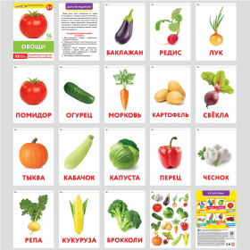Карточки Домана, 8 развивающих брошюр по методике ГЛЕНА ДОМАНА, 145 изображений, ЮНЛАНДИЯ, 691022