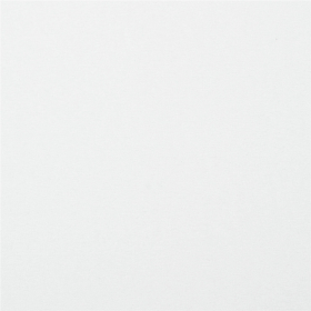 Картон белый А4 МЕЛОВАННЫЙ (белый оборот), 10 листов, в папке, BRAUBERG KIDS, 200х283, 115161