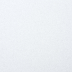 Картон белый А4 МЕЛОВАННЫЙ (белый оборот), 16 листов, в папке, BRAUBERG, 200х290 мм, 113561