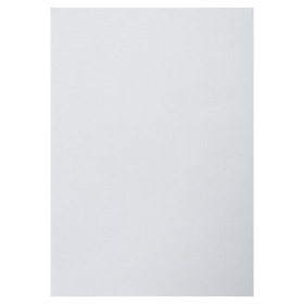 Картон белый А4 МЕЛОВАННЫЙ (белый оборот), 25 листов, BRAUBERG, 210х297 мм, 124021