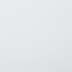 Картон белый А4 МЕЛОВАННЫЙ (белый оборот), 25 листов, BRAUBERG, 210х297 мм, 124021