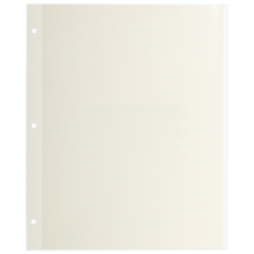 Листы для фотоальбома магнитные 23х28 см, КОМПЛЕКТ 10 шт., BRAUBERG, 391312