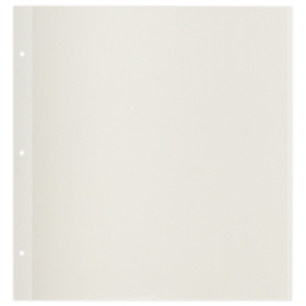 Листы для фотоальбома магнитные 30х32 см, КОМПЛЕКТ 10 шт., BRAUBERG, 391313