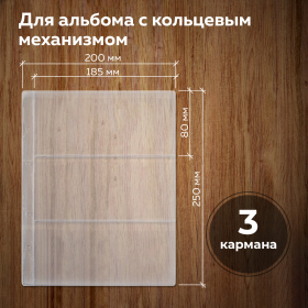 Листы-вкладыши для альбома "OPTIMA" на 3 боны (купюры), КОМПЛЕКТ 10 шт., 200х250 мм, ПВХ, STAFF, 238082