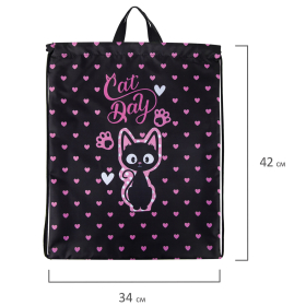 Мешок для обуви BRAUBERG KIDS, с петлей, 42х34 см, "Amazed cat", 271629