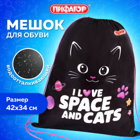 Мешок для обуви ПИФАГОР, 1 отделение, 42х34 см, "Dark kitten", 273419