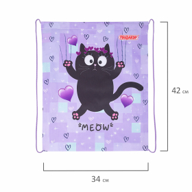 Мешок для обуви ПИФАГОР, 1 отделение, 42х34 см, "Falling cat", 272383