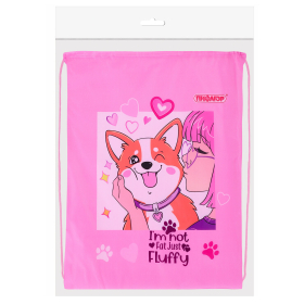 Мешок для обуви ПИФАГОР, 1 отделение, 42х34 см, "Fluffy akita", 272385