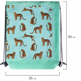 Мешок для обуви ЮНЛАНДИЯ, с ручками, боковой карман на молнии, 46х36 см, "Wild Cats", 271614