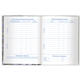 Обложка ПЭ для тетрадей и дневников, 60 мкм, 210х350 мм, прозрачная, ПИФАГОР, 229369