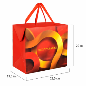 Пакет-коробка подарочный (1 штука) "Поздравляю", 22,5х13,5х20 см, тиснение фольгой, ламинация, 90081