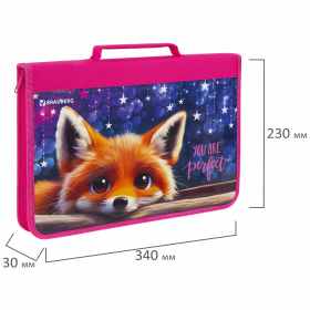 Папка на молнии BRAUBERG А4 с ручкой, с органайзером, 1 отделение, "Cute fox", 272217