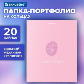 Папка-портфолио универсальная, 4 кольца, 20 файлов, 7БЦ матовая, BRAUBERG, "Gentle", 117558