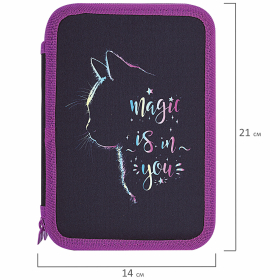 Пенал BRAUBERG, 2 отделения, полиэстер, 21х14 см, "Magic Cat", 271542