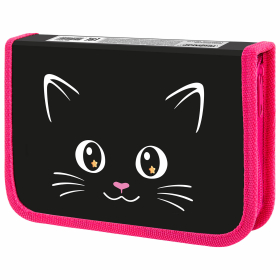 Пенал ПИФАГОР, 1 отделение, ламинированный картон, 19х11 см, "Dark kitten", 273467