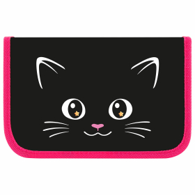 Пенал ПИФАГОР, 1 отделение, ламинированный картон, 19х11 см, "Dark kitten", 273467