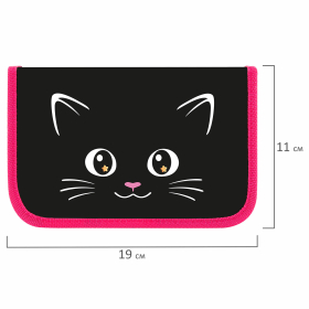 Пенал ПИФАГОР, 1 отделение, ламинированный картон, 19х11 см, "Dark kitten", 273467