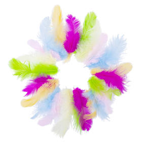 Перья декоративные "Карнавальные", 5-8 см, 24 шт., 6 цветов, пастель, ассорти, ОСТРОВ СОКРОВИЩ, 661377