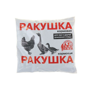 Ракушка 