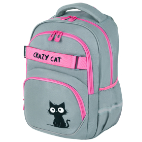 Рюкзак BRAUBERG MOTION, 2 отделения, 3 кармана, "Crazy cat", 41х28х17 см, 273115