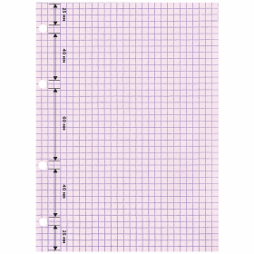 Сменный блок для тетради на кольцах, А5, 120 л., BRAUBERG, 4 цвета по 30 листов, 404614