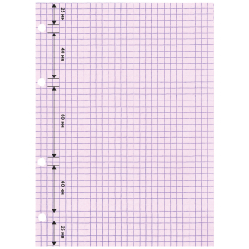 Сменный блок для тетради на кольцах, А5, 200 л., BRAUBERG, 4 цвета по 50 листов, 401661