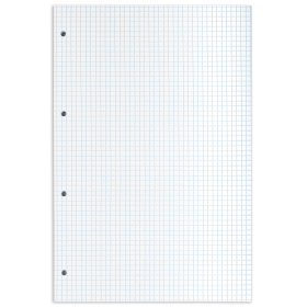 Сменный блок к тетради на кольцах БОЛЬШОГО ФОРМАТА А4, 120 л., BRAUBERG, Белый, 404518