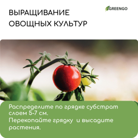 Субстрат кокосовый, универсальный, для террариумов и растений, в брикете, 25 л, 100% торф, Greengo