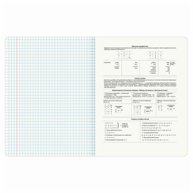 Тетрадь предметная ANIME 48 л., глянцевый УФ-лак, ИНФОРМАТИКА, клетка, BRAUBERG, 404538