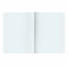 Тетрадь предметная ANIME 48 л., глянцевый УФ-лак, ИНФОРМАТИКА, клетка, BRAUBERG, 404538