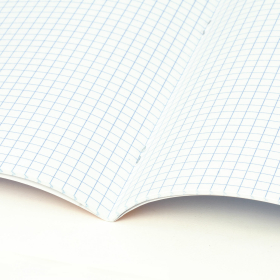 Тетрадь предметная со справочным материалом ORIGINAL 48 л., TWIN лак, ОБЩЕСТВОЗНАНИЕ, клетка, BRAUBERG, 404298