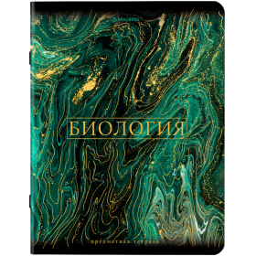 Тетради предметные, КОМПЛЕКТ 12 ПРЕДМЕТОВ, 48 л., SoftTouch, фольга, BRAUBERG, "MARBLE", 404326