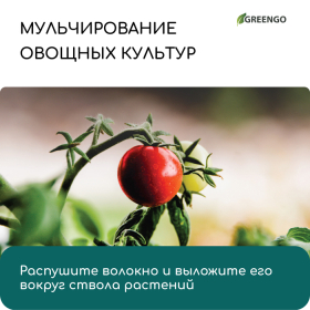 Волокно кокосовое, для мульчирования, 2 л, Greengo