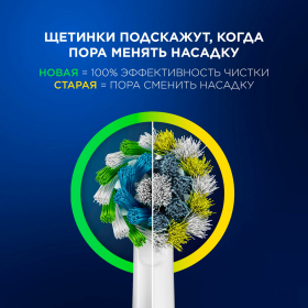 Зубная щетка электрическая ORAL-B (Орал-би) Pro-Series 3, Голубая, 1 сменная насадка, 741751